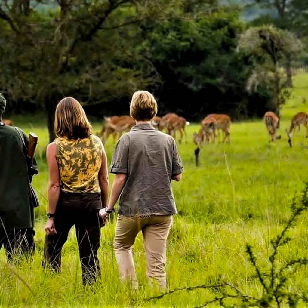 3 Days Lake Mburo Safari